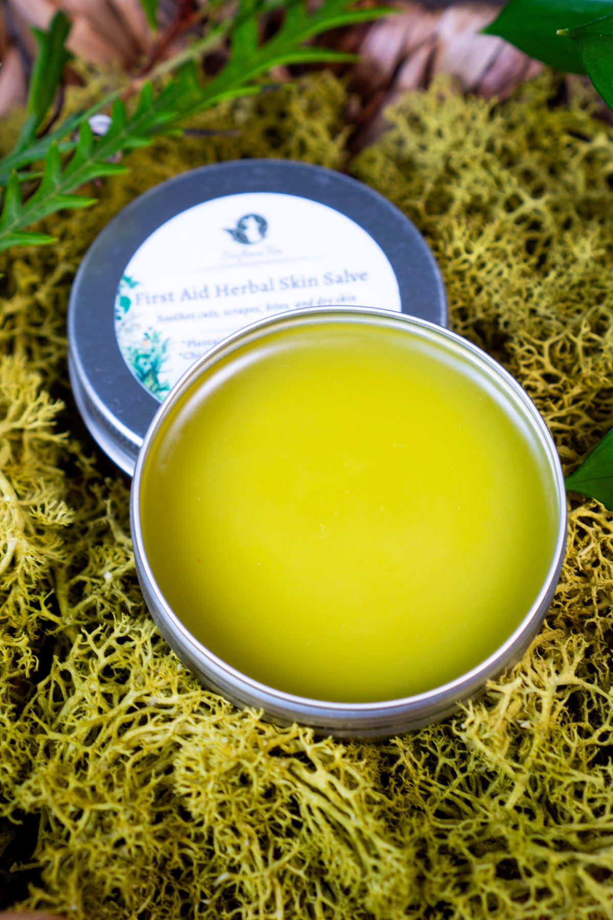First Aid Herbal Skin Salve